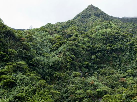 Tropicalnature&mountainriver_pixta_79708723_L