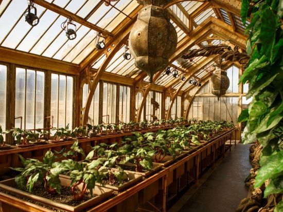 ハリー・ポッター・スタジオツアー