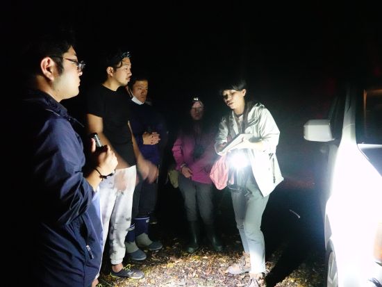 【貸切】奄美群島認定エコツアーガイド常さんと行く！徳之島ナイトツアー 生物多様性豊かな徳之島の森を探検 ＜約3時間／島内送迎可能＞by旅友Tokunoshima