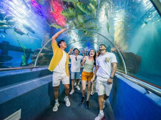 フーコック島観光 貸切チャーター 北部コース＜8時間／1～16名／現地語ドライバー＞