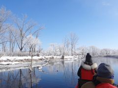 Scene2-946marsh&river-naturecanoe2023