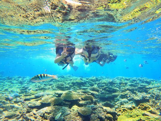 慶良間シュノーケリング　揺れに強い大型船／GoProレンタル付きパラセーリングやバナナボートセットコースあり／写真・ドリンク無料＜半日／那覇発＞