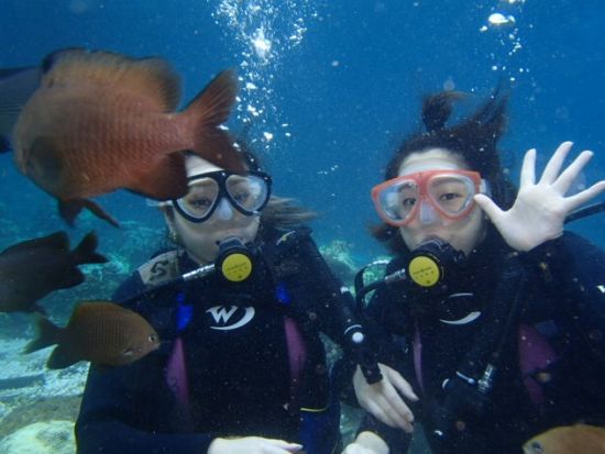 体験ダイビング 神津島の青い海と豊かな自然の中でダイバーデビュー 水中写真付き＜午前・午後 ／1ダイブ／神津島島内ホテル送迎＞byアクアメイトダイビングクラブ