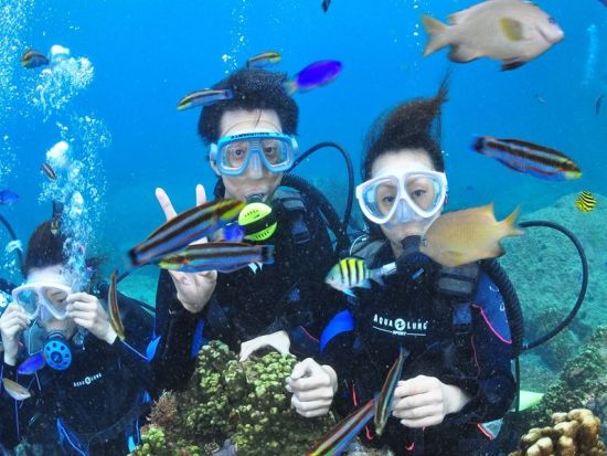 体験ダイビング 神津島の青い海と豊かな自然の中でダイバーデビュー 水中写真付き＜午前・午後 ／1ダイブ／神津島島内ホテル送迎＞byアクアメイトダイビングクラブ
