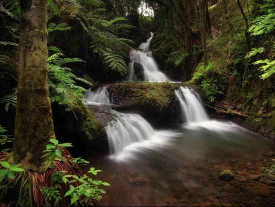 ハワイ島エコアドベンチャーツアー　ワイピオ渓谷展望台からの眺めやボタニカルガーデン、穴場スポットでの滝つぼ遊びも！＜1日／昼食・スナック付き／英語ガイド＞