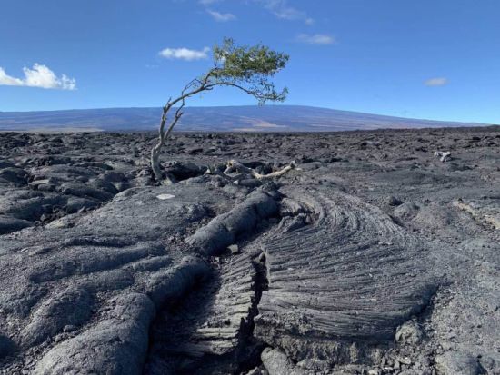 ハワイ島エコアドベンチャーツアー　ワイピオ渓谷展望台からの眺めやボタニカルガーデン、穴場スポットでの滝つぼ遊びも！＜1日／昼食・スナック付き／英語ガイド＞