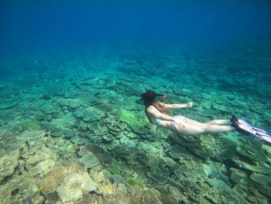 【奄美大島発】加計呂麻島シュノーケリングツアー 写真＋動画無料プレゼント付き ＜2名～／瀬戸内町集合＞ by マリンアクティビティサービス『minami』