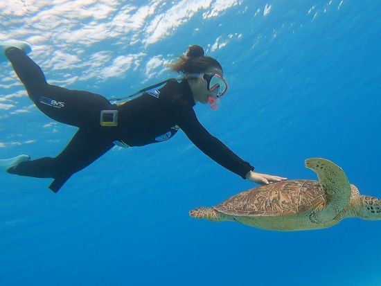 【奄美大島発】加計呂麻島シュノーケリングツアー 写真＋動画無料プレゼント付き ＜2名～／瀬戸内町集合＞ by マリンアクティビティサービス『minami』