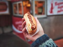 Icelandic Hot Dog