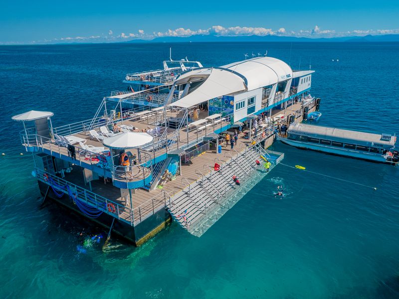 Reef Magic Pontoon-56