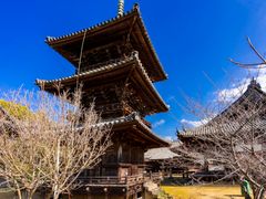 本蓮寺 三重塔