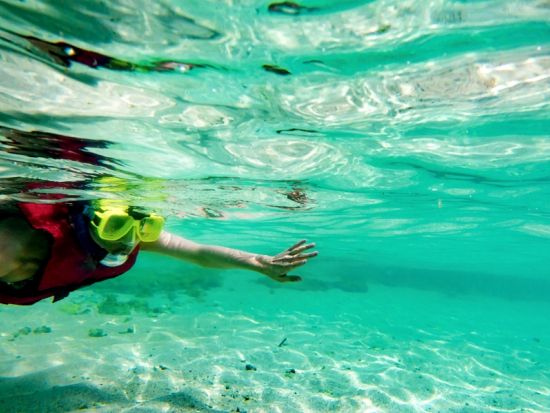 【貸切】1ツアー1組限定！ビーチシュノーケリング  動画・写真撮影無料サービス 名瀬市街地・龍郷町エリア送迎可＜半日／奄美＞ by ダイブセンターOKKY