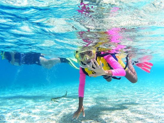 ウミガメシュノーケリング体験ツアー！水中動画無料プレゼント!！遭遇率99.8%* グループ・お一人様OK＜約3時間＞ by ダイブセンターOKKY