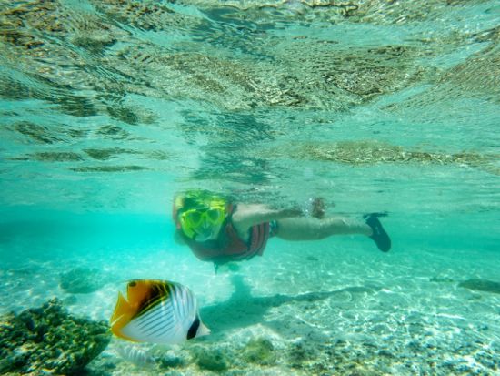 ウミガメシュノーケリング体験ツアー！水中動画無料プレゼント!！遭遇率99.8%* グループ・お一人様OK＜約3時間＞ by ダイブセンターOKKY