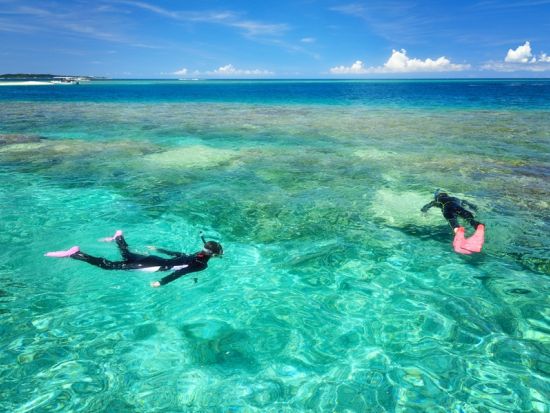 ウミガメシュノーケリング体験ツアー！水中動画無料プレゼント!！遭遇率99.8%* グループ・お一人様OK＜約3時間＞ by ダイブセンターOKKY