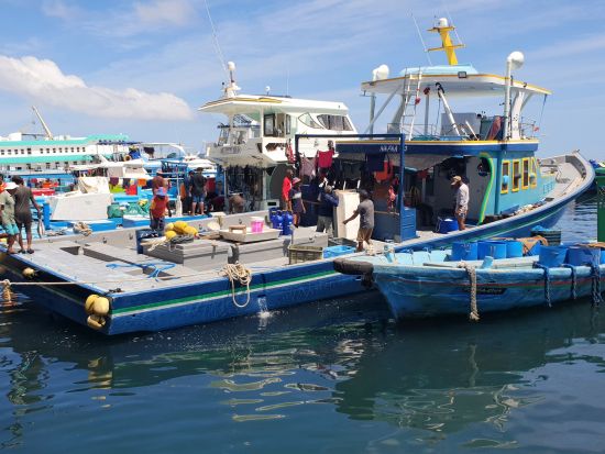 首都マーレの魅力に迫る！ウォーキング半日観光ツアー ＜日本語ガイドor英語ガイド＞ 