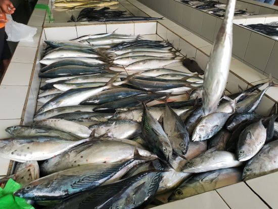 首都マーレの魅力に迫る！ウォーキング半日観光ツアー ＜日本語ガイドor英語ガイド＞ 