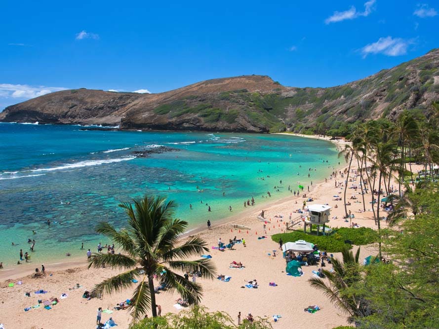 Hanauma Bay Self-Guided Snorkel Tour & Gear Rental with Hotel ...