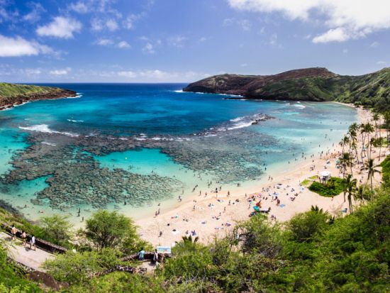 ハナウマ湾シャトルサービス　シュノーケリングセットレンタル付き＜英語ドライバー＞