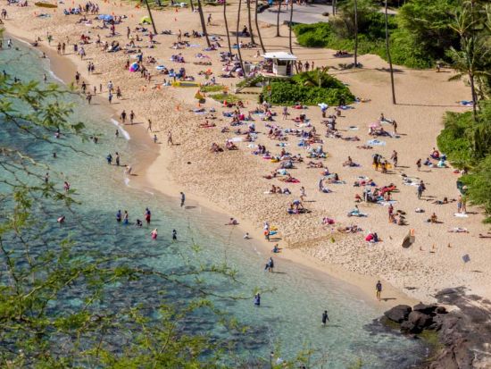 ハナウマ湾シャトルサービス　シュノーケリングセットレンタル付き＜英語ドライバー＞