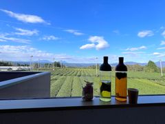 IMG-3388