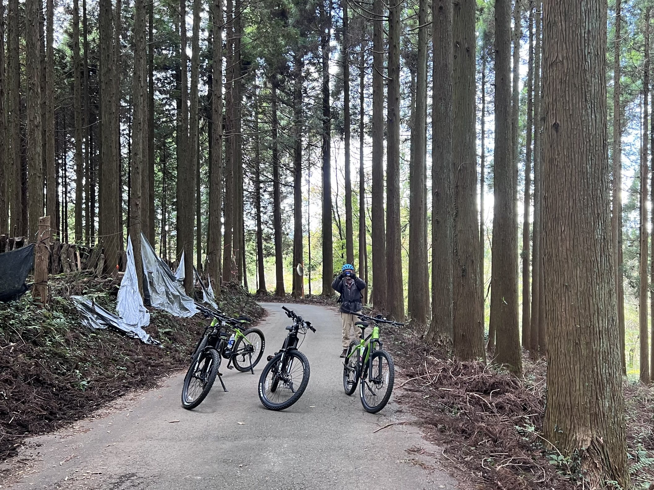 サイクリングツアー 電動アシスト付きの自転車e-bikeを使用 阿蘇の景色