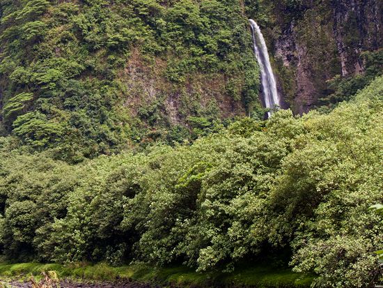 Tahiti_Mountain river and fall_pixta_20885920_L