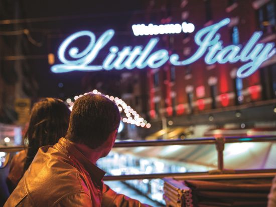 ニューヨーク　乗り降り自由バス「ビッグバス」チケット予約 ＜英語音声ガイド＞