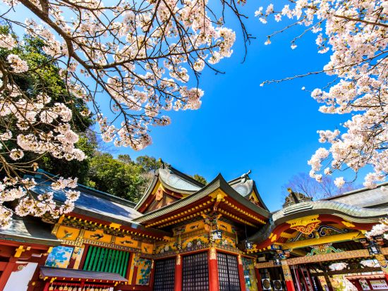 武雄市内発着貸切観光タクシー　祐徳稲荷神社＋肥前浜宿＋HAMA BAR　お酒好きにおすすめ！アレンジOKな鹿島の地酒満喫ツアー＜4時間／最大9名＞