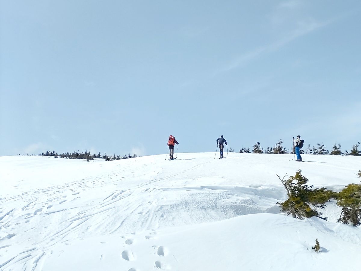 南八甲田スノーハイクツアー スキーとスノーハイクのいいとこ取り