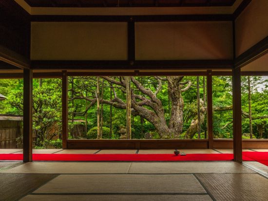 比叡山＋大原三千院 バスツアー最澄ゆかりの世界遺産 延暦寺と洛北大原の地へ＜昼食付／京都駅発／1日＞by おこしバス（京都定期観光バス）