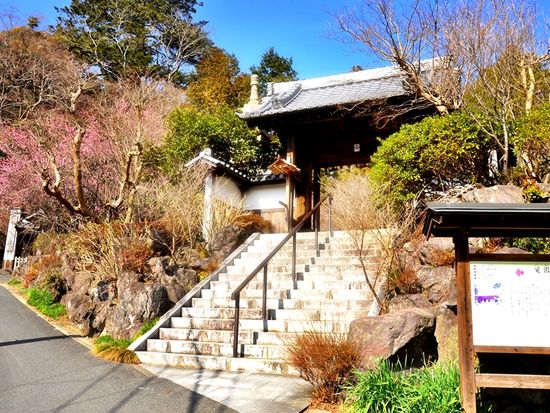 pixta_38259500_M覚園寺