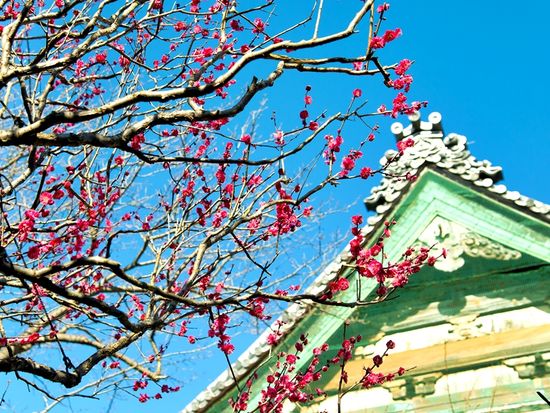 古都鎌倉で貸切座禅体験！ベテランガイド ミラクルミホがご案内 鎌倉の歴史を学び、心を清める＜鎌倉駅発＞の写真5