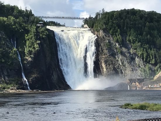 ホエールウォッチング　子育ての為に集まる親子クジラを大型船に乗って観察しに行こう＜5～9月／昼食付き／日本語ガイド／ケベックシティ発＞