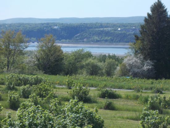 ケベック郊外観光ツアー モンモランシー滝＋サンタンヌ・ド・ボープレ大聖堂＋オルレアン島 メープルORカシス酒試飲＜午前or午後／日本語ガイド／ケベックシティ発＞