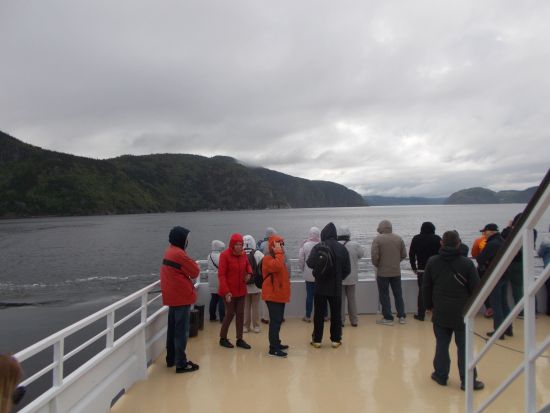 ホエールウォッチング　子育ての為に集まる親子クジラを大型船に乗って観察しに行こう＜5～9月／昼食付き／日本語ガイド／ケベックシティ発＞