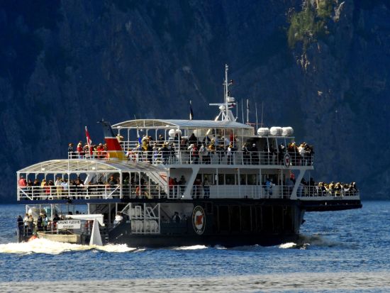 ホエールウォッチング　子育ての為に集まる親子クジラを大型船に乗って観察しに行こう＜5～9月／昼食付き／日本語ガイド／ケベックシティ発＞