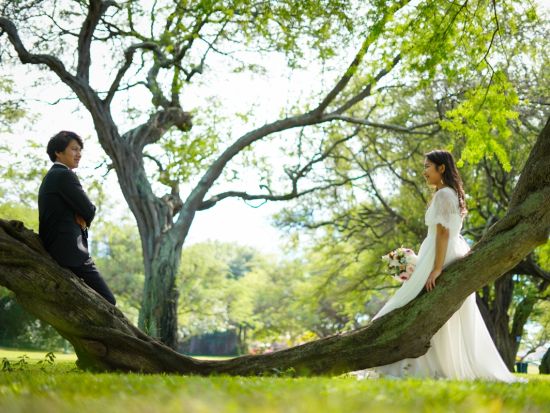 ハワイ　ウェディングフォト　カピオラニ公園、カカアコ、カイムキタウン、ダウンタウン、ビーチから選べる撮影ロケーション（撮影・衣装有無・メイク有無）