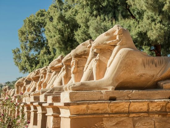 【カイロ発 ルクソール1泊2日 プライベート】飛行機で行く！ルクソール観光ツアー＜日本語または英語ガイド／チップ込／カイロ発着＞