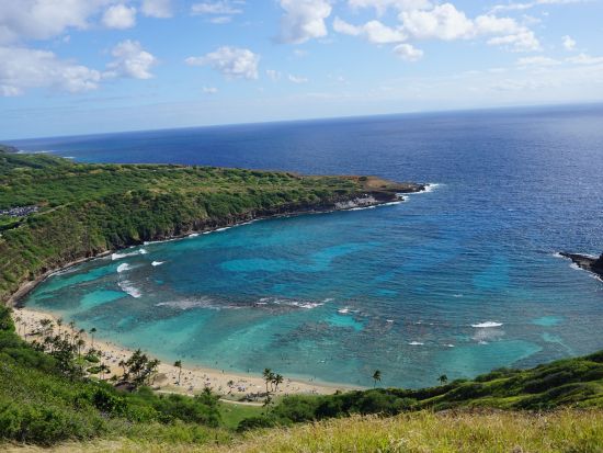 ハナウマ湾体験ダイビング　ハナウマ湾公認インストラクターがご案内　8歳からライセンス保持者の参加もOK！＜ビーチ／1～2ダイブ＞by ハウオリオーシャンスタイル