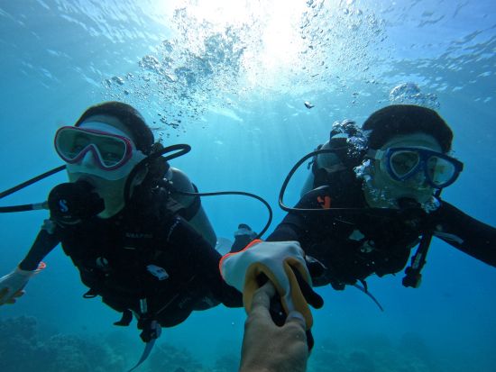 ハナウマ湾体験ダイビング　ハナウマ湾公認インストラクターがご案内　8歳からライセンス保持者の参加もOK！＜ビーチ／1～2ダイブ＞by ハウオリオーシャンスタイル