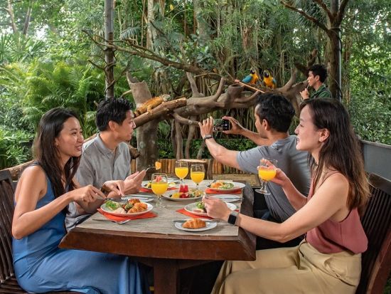 シンガポール動物園＋バードパラダイス入場チケット 動物たちとの朝食体験「ブレックファスト・イン・ザ・ワイルド」付きプランあり ＜日本語ガイド／往路送迎＞