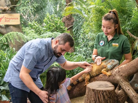 シンガポール動物園＋バードパラダイス入場チケット 動物たちとの朝食体験「ブレックファスト・イン・ザ・ワイルド」付きプランあり ＜日本語ガイド／往路送迎＞