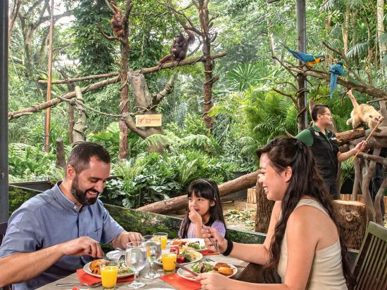 シンガポール動物園　動物たちとの朝食体験「ブレックファスト・イン・ザ・ワイルド」付きを選べる ＜入場チケット込／朝食付きプランあり／日本語ガイド／往路送迎＞ 