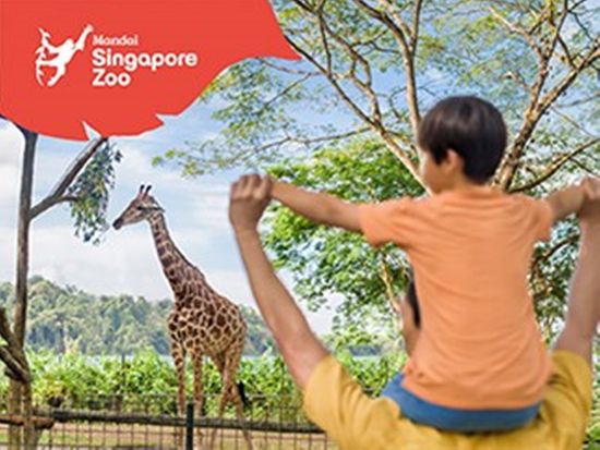 Singapore Zoo - 323x295px