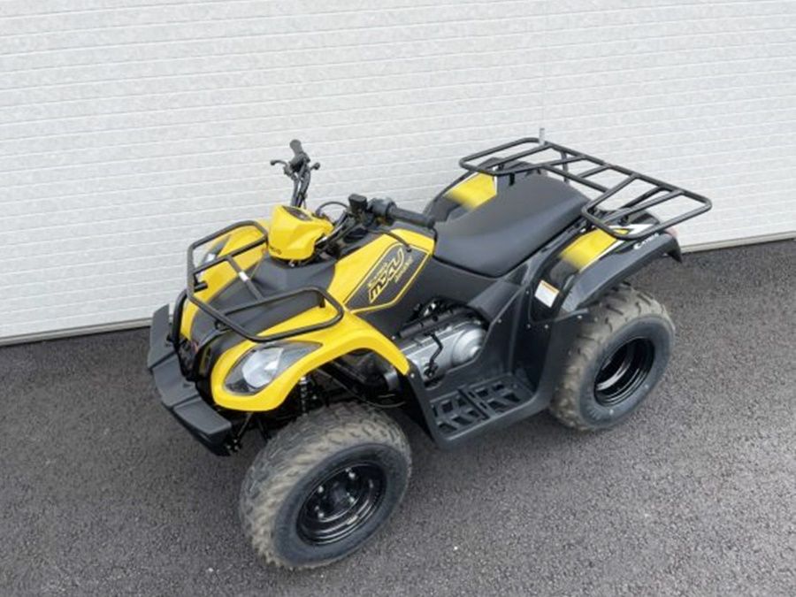 ATVバギー体験 デコボコ＆くねくね道を走り抜ける！＜6歳以上参加可