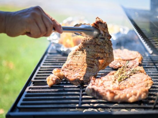 ビーチBBQランチツアー　開放感あふれるビーチでのBBQ　食材や道具の準備もお任せ　ワイキキ中心部DFSからの送迎付き＜昼／2時間／アラモアナビーチパーク＞