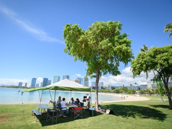 ビーチBBQランチツアー　開放感あふれるビーチでのBBQ　食材や道具の準備もお任せ　ワイキキ中心部DFSからの送迎付き＜昼／2時間／アラモアナビーチパーク＞