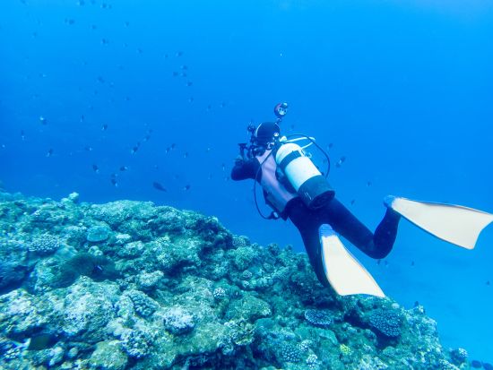 【奄美大島発】加計呂麻島 体験ダイビングツアー 絶景の海中世界をのぞいてみよう ＜ボート／1ダイブ／午前または午後＞ by ダンデライオン奄美