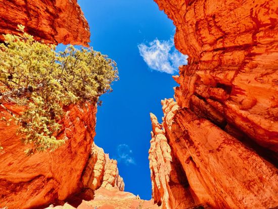 モニュメントバレー絶景ホテル「ビューホテル」宿泊 2泊3日ツアー　ザイオン＆ブライスキャニオン＆グランドキャニオン＆アンテロープ＜日本語ドライバーガイド＞